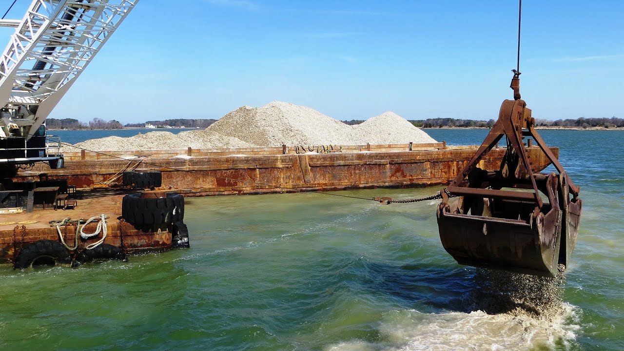 Oyster restoration succeeds in Maryland’s Little Choptank River
