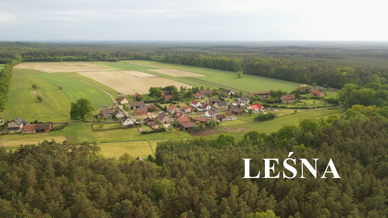 Leśna - Skarby Gminy Olesno 2020