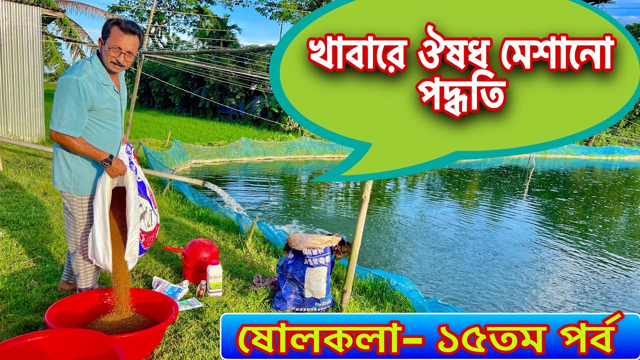 খাবারে ঐষধ মেশানো পদ্ধতি..  ষোলকলা- ১৫তম পর্ব..। Catfish bd