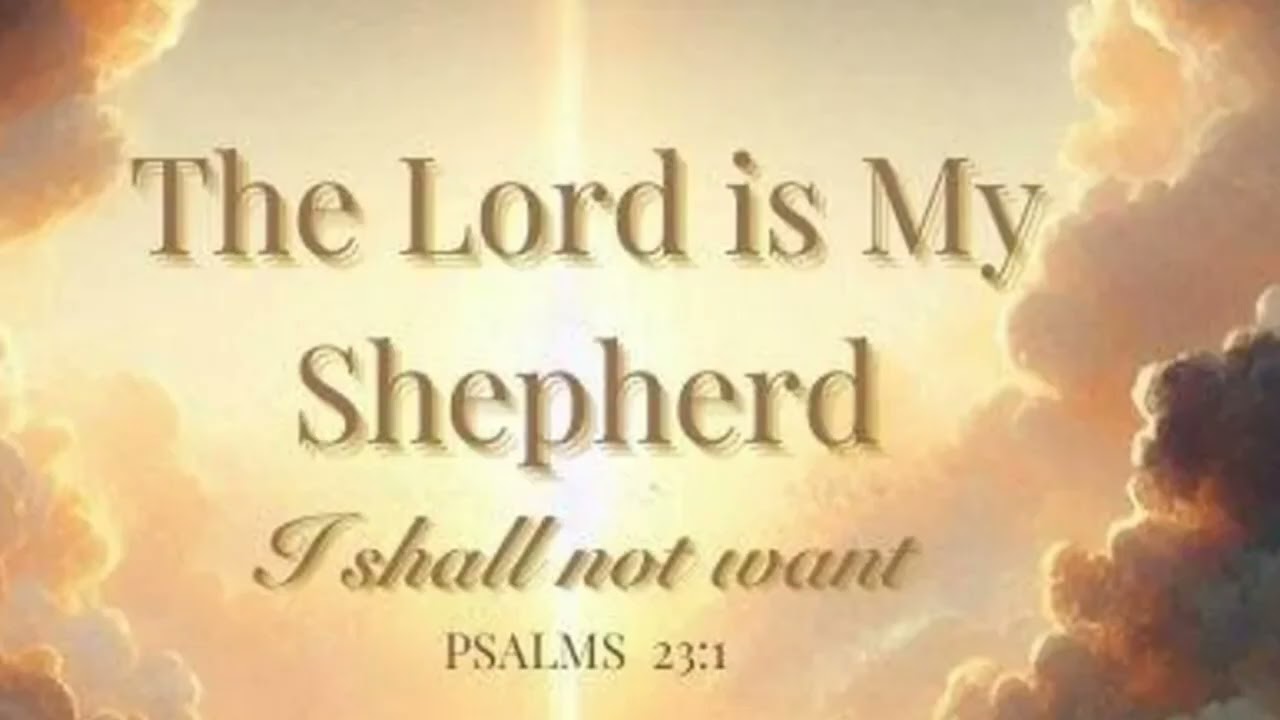 The Shepherd King (worship song)