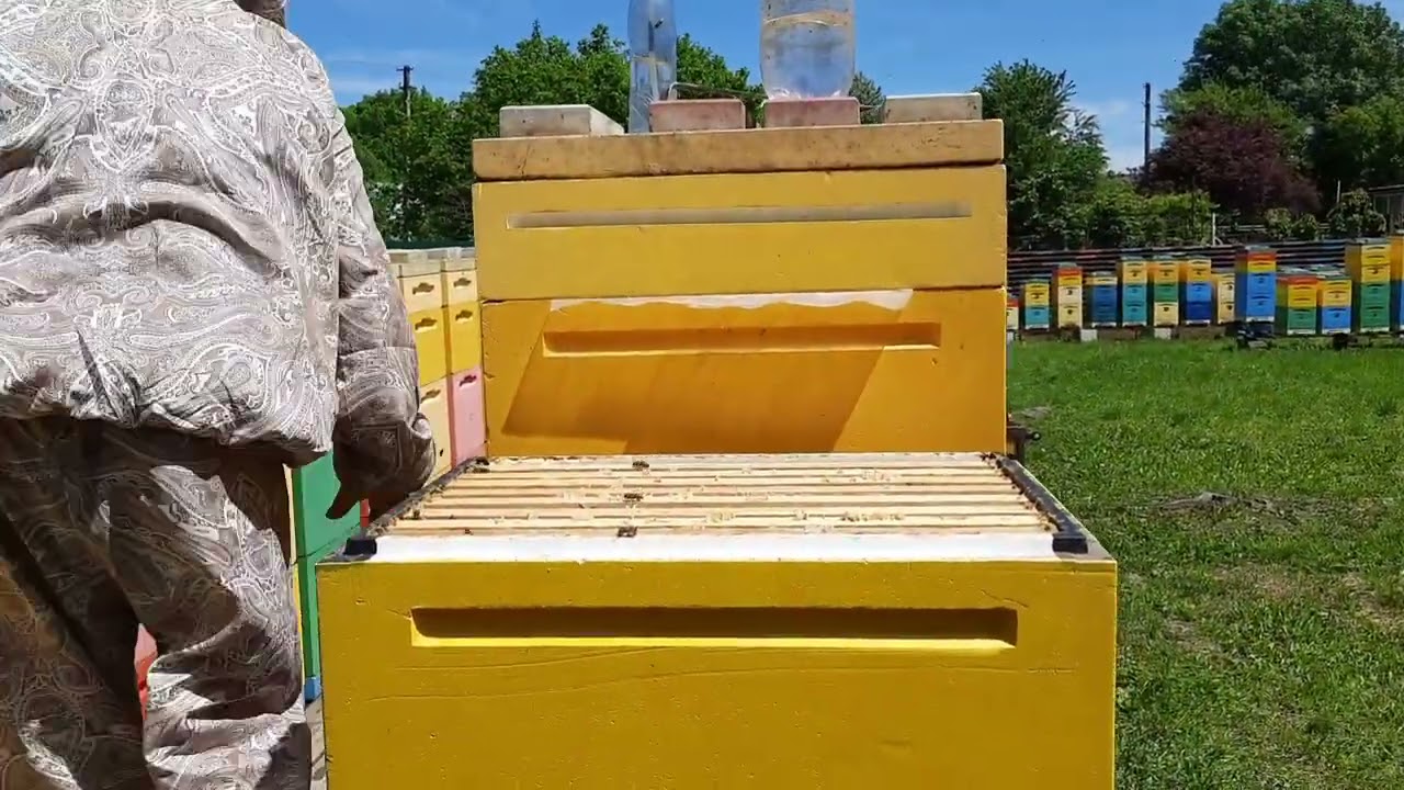 Изоляция против Роения пчёл на любой стадии.Доказано Лично.