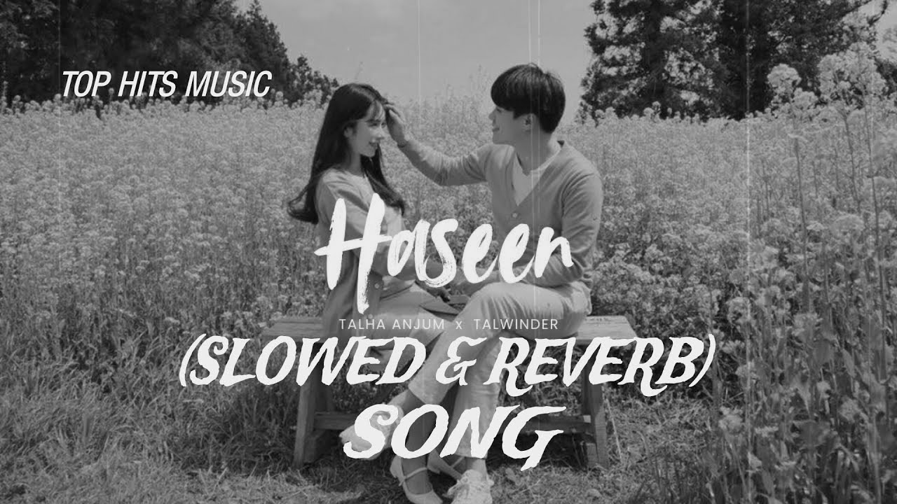 Haseen (Slowed + Reverb) | Talwiinder x Talha Anjum | New Punjabi Lofi Song 2025/TOP HITS MUSIC