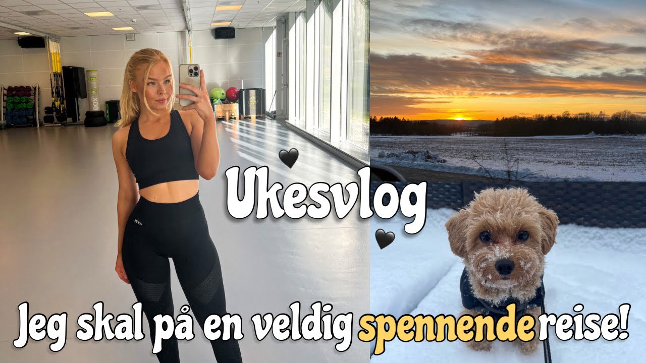 Ukesvlog - Forberedelser og Oppdateringer 🤍