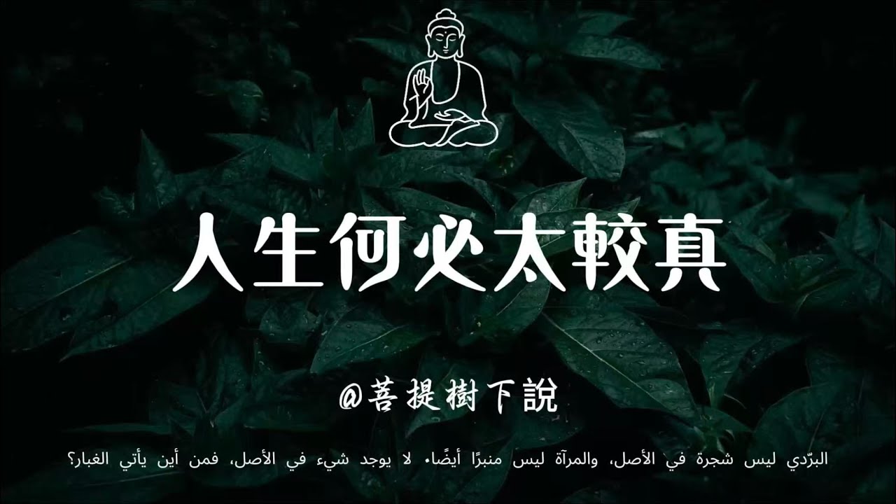 【建議收藏】與自己和解：放下過往執念，在因緣無常中溫柔活過 #修行 #國學 #人生感悟 #治癒 #佛學 #哲學 #人生感悟 #修心 #智慧
