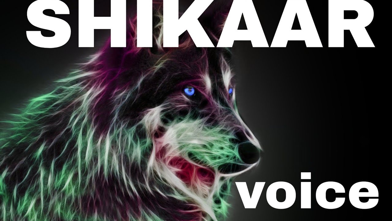 Most intelligent birds