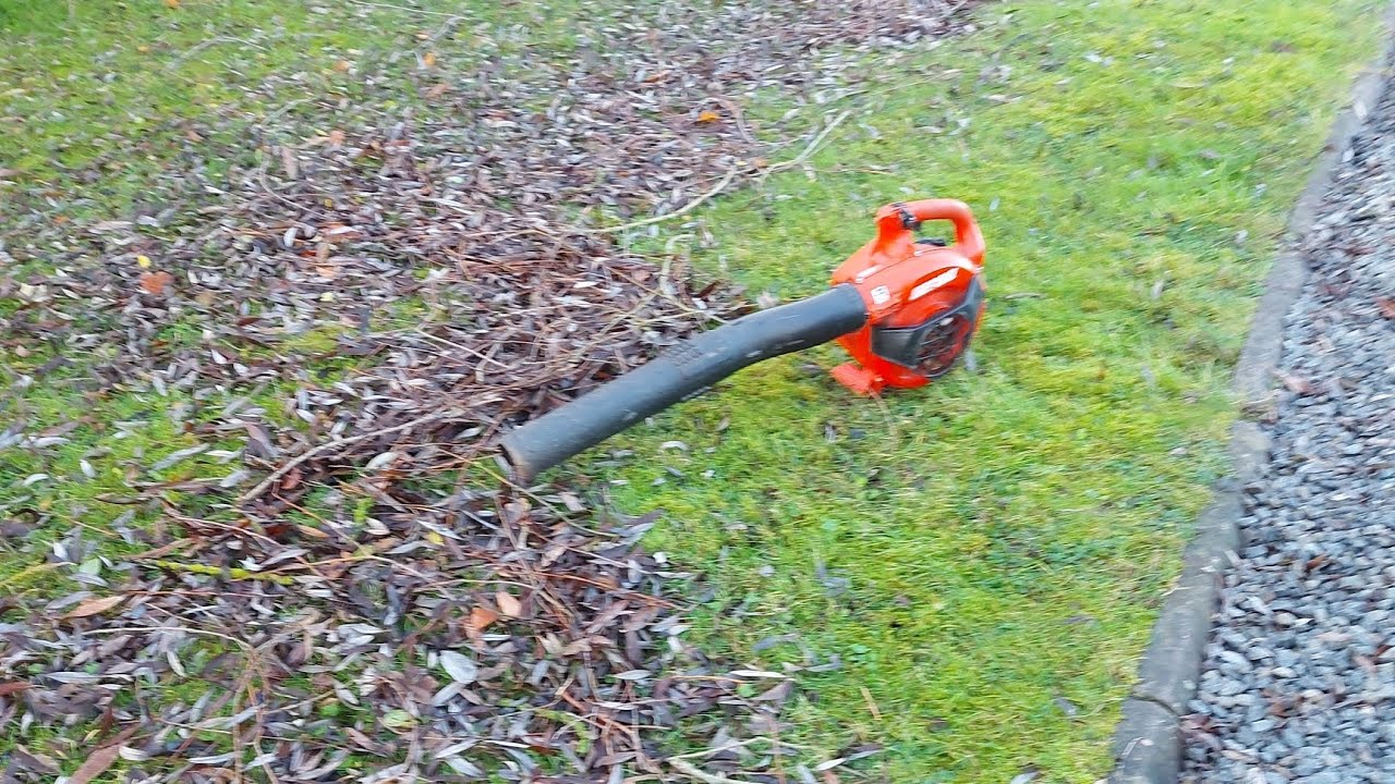How much blow do you need? #dagtail