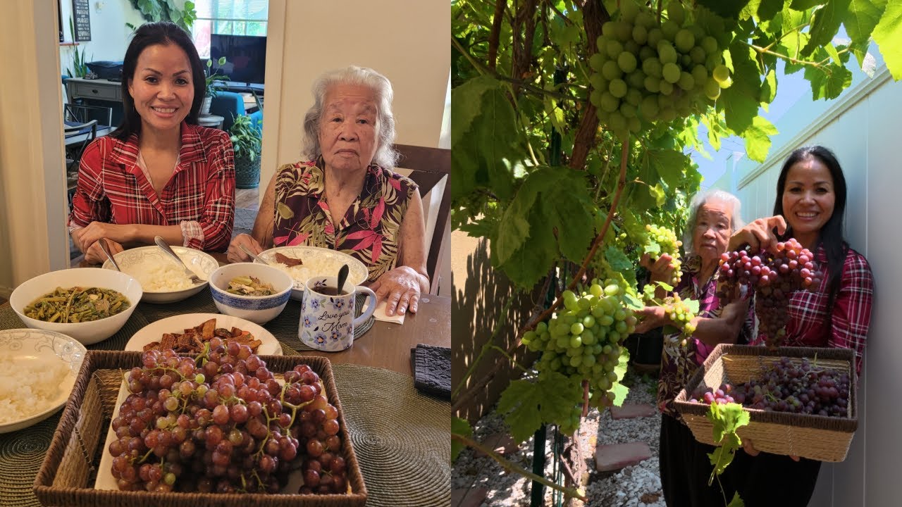 Khmer Food & Backyard Grapes