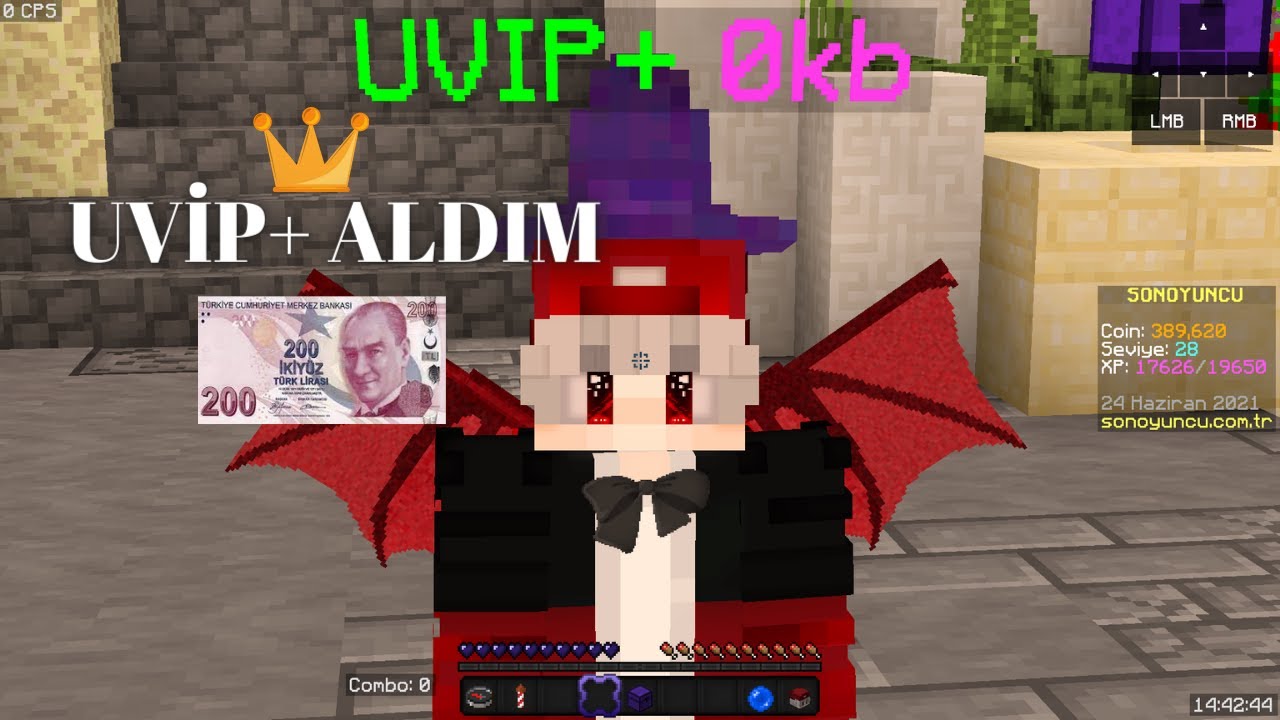 SONOYUNCU UVIP+ ALDIM (SONOYUNCU SKYWARS)