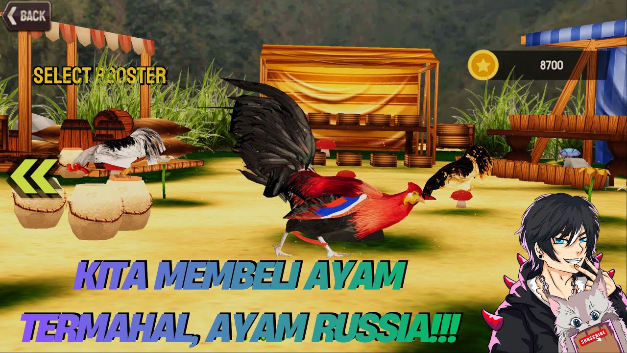 Review Ayam Jago Dari Russia, Ini Adalah Ayam Jago Termahal!!! - ROOSTER FIGHT