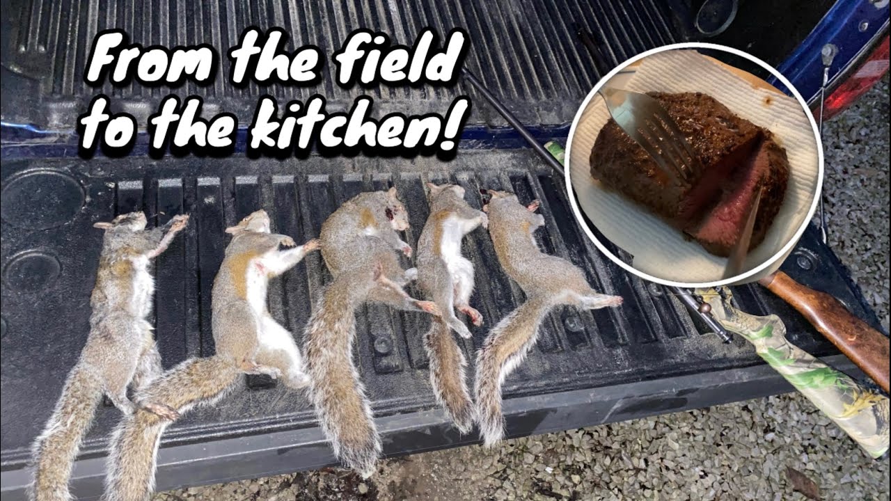 THE BEST WILD GAME RECIPES!! (Venison vs. Squirrel meat)