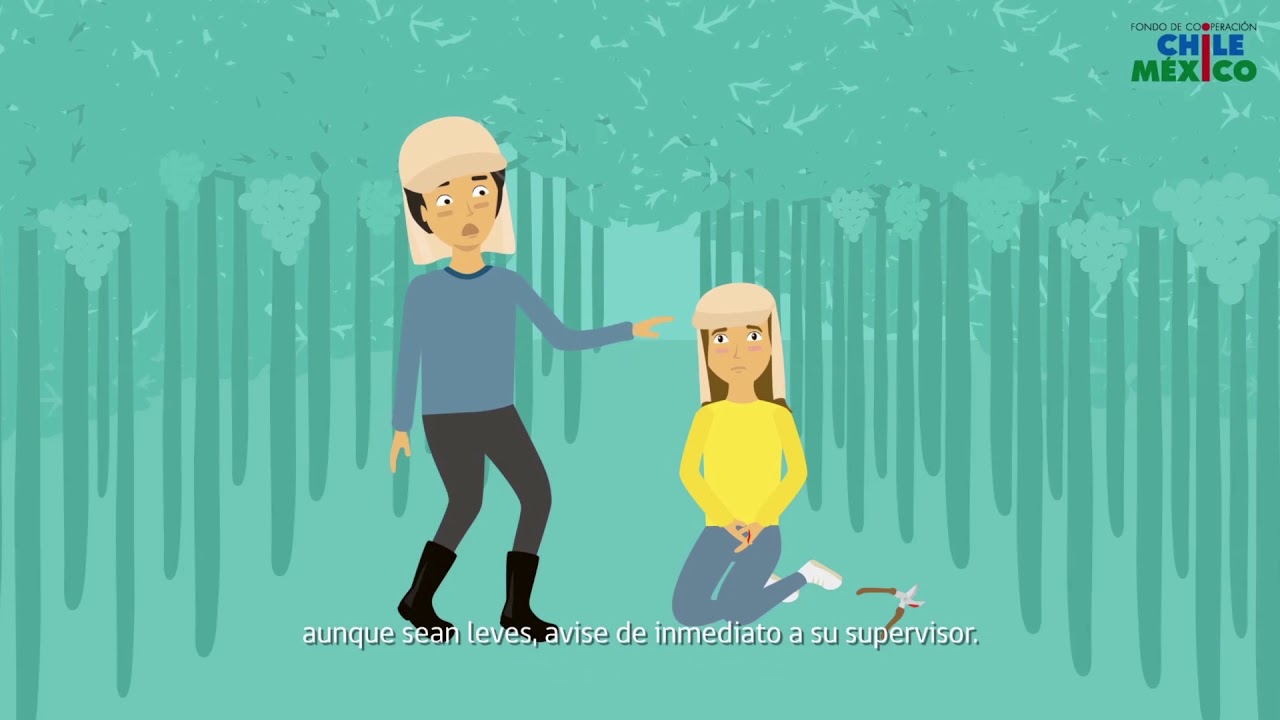 Buenas prácticas de higiene en la cosecha | SENASICA
