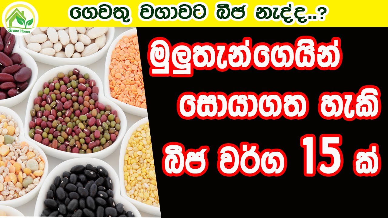 මුලුතැන්ගෙයින් සොයාගත හැකි බීජ වර්ග 15ක්  / 15 varieties of seeds to be found in the kitchen