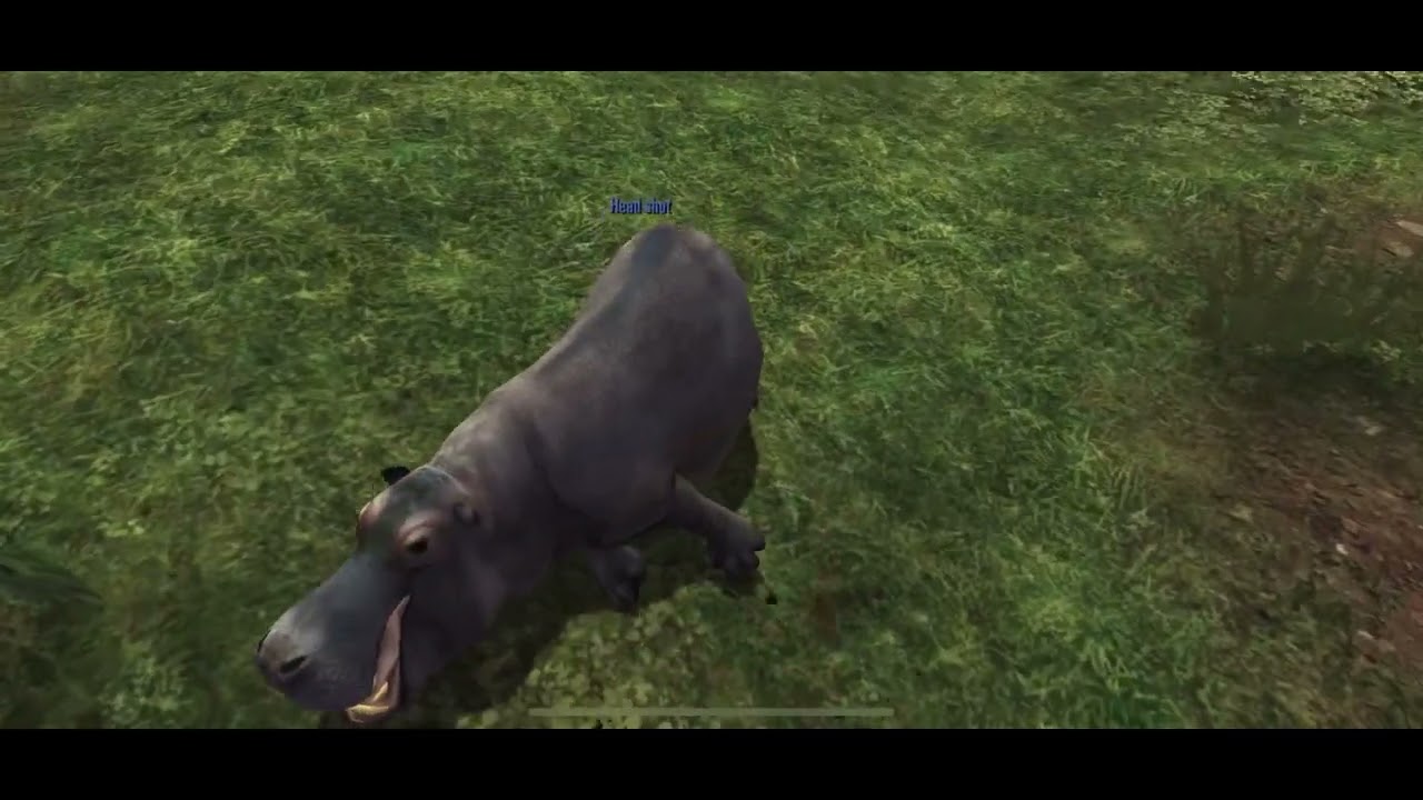 Deer Hunter Classic Region 19: The Serengeti