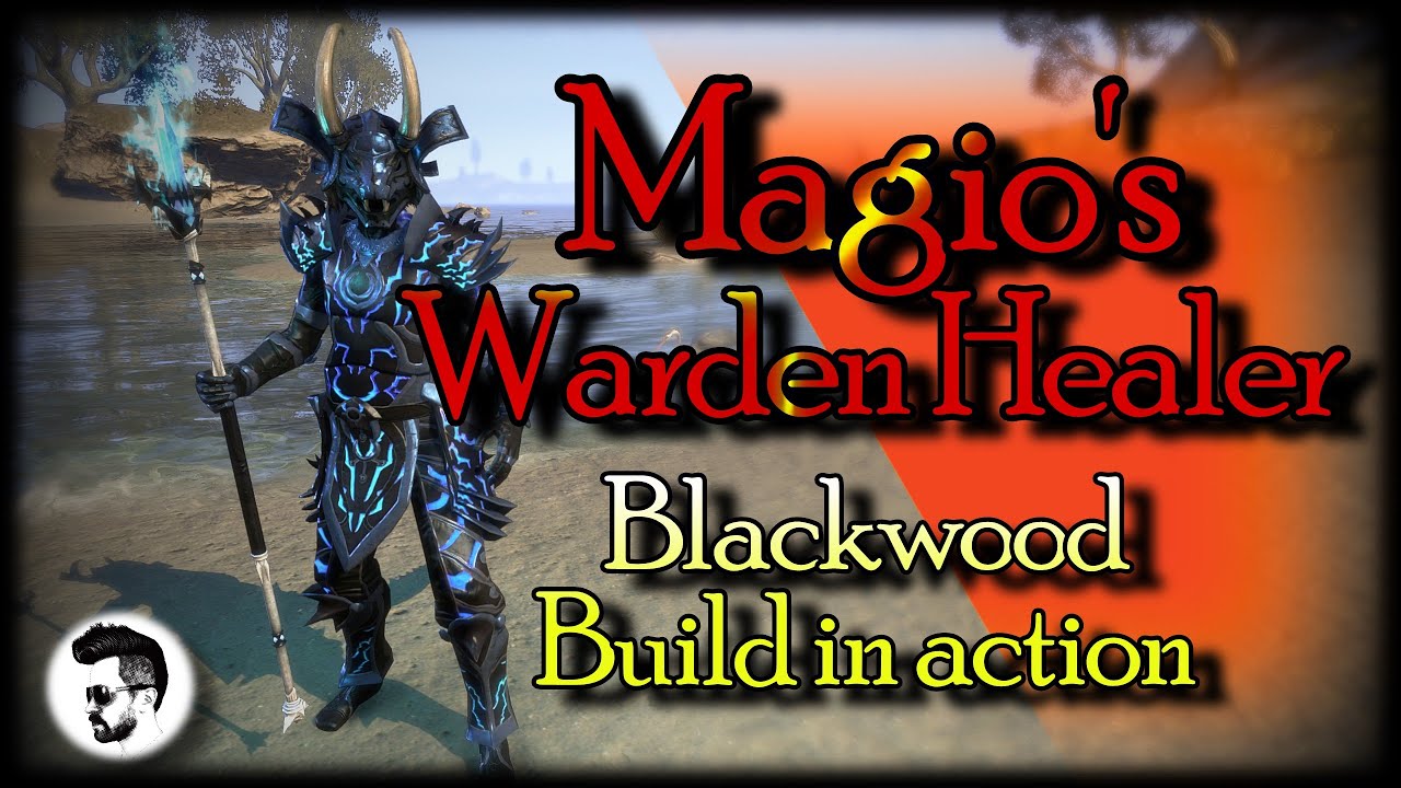 Magio's Warden Healer - Build in action  (Blackwood)