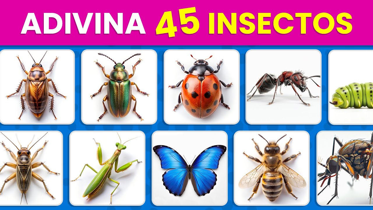 Adivina 45 INSECTOS 🐞🐛🦋 - De Nivel Fácil a IMPOSIBLE 🤯| ¿Cuánto Sabes de Insectos 😉?
