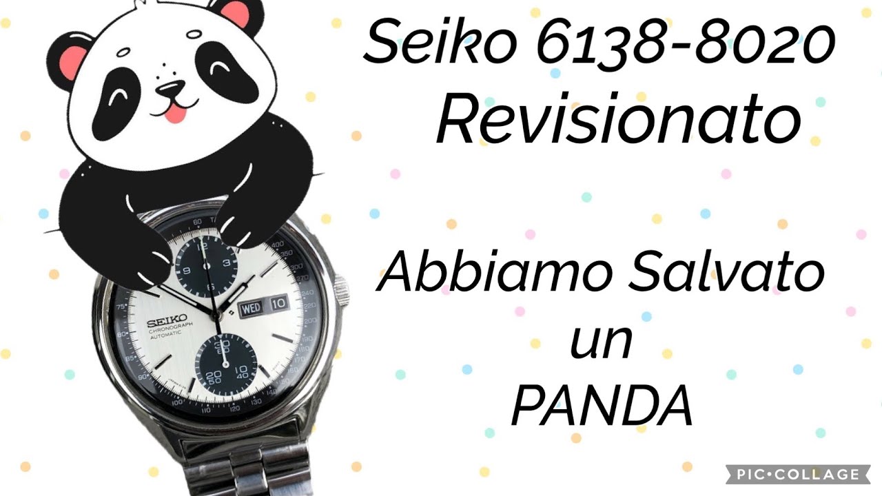 Seiko Panda 🐼 6138-8020 revisione #seiko #orologio #watch #wristwatch #luxurywatches #vintage
