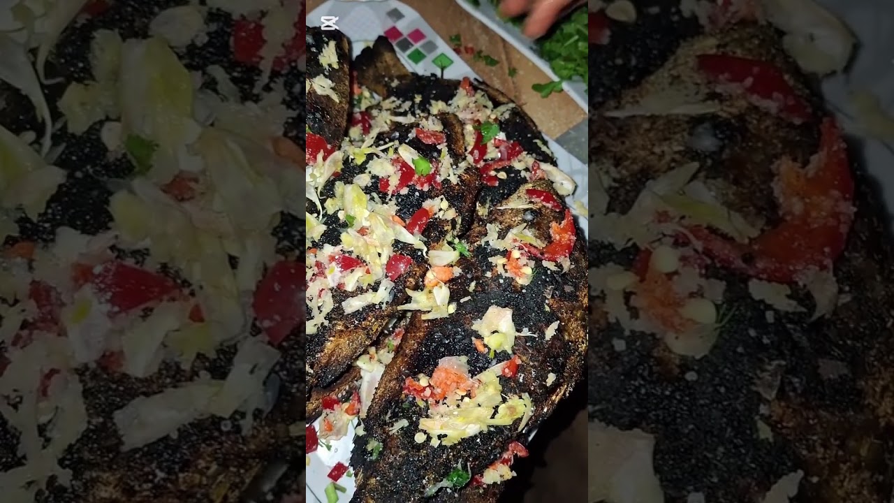 ٢٥ فبراير ٢٠٢٦