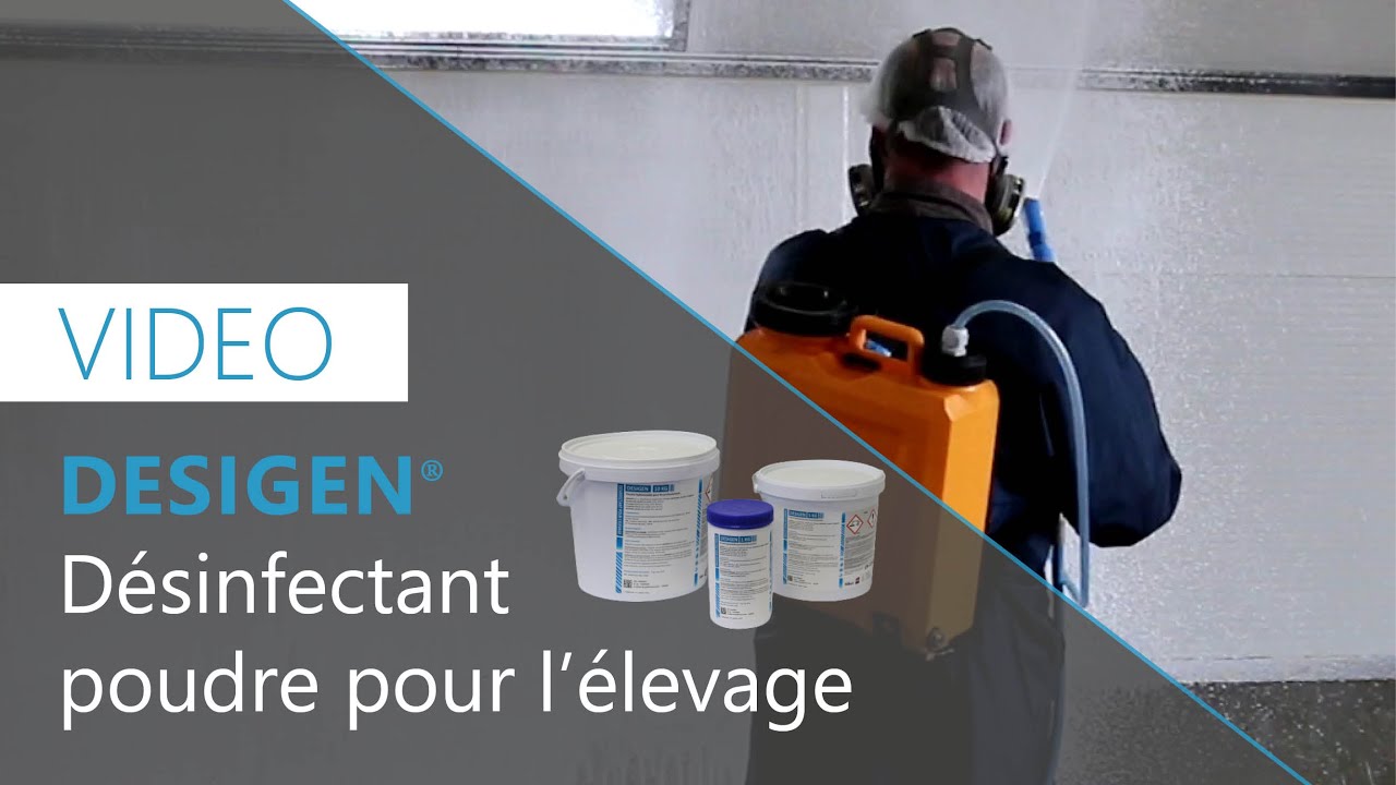 DESIGEN, nouveau désinfectant poudre pour l'élevage : préparation et application