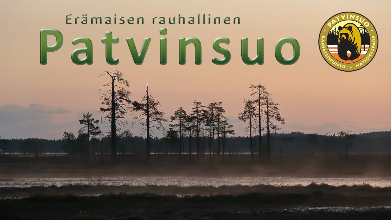 Kolme kevätpäivää Patvinsuon kansallispuistossa. Avosoita ja erämaista rauhaa.