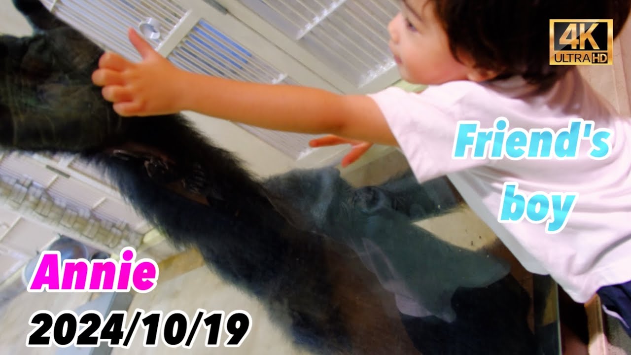 子供達とアニーとのふれあい【東山動植物園】2024/10/19 土曜日