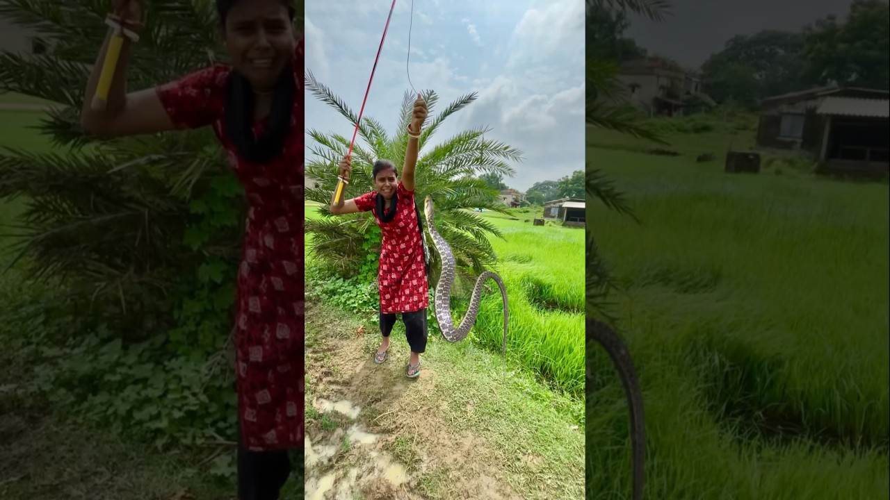 Village Lady Catch Dangerous Snake With Hook🐬🐬✔✔ | village Fishing video #snakevideo  #snake_f