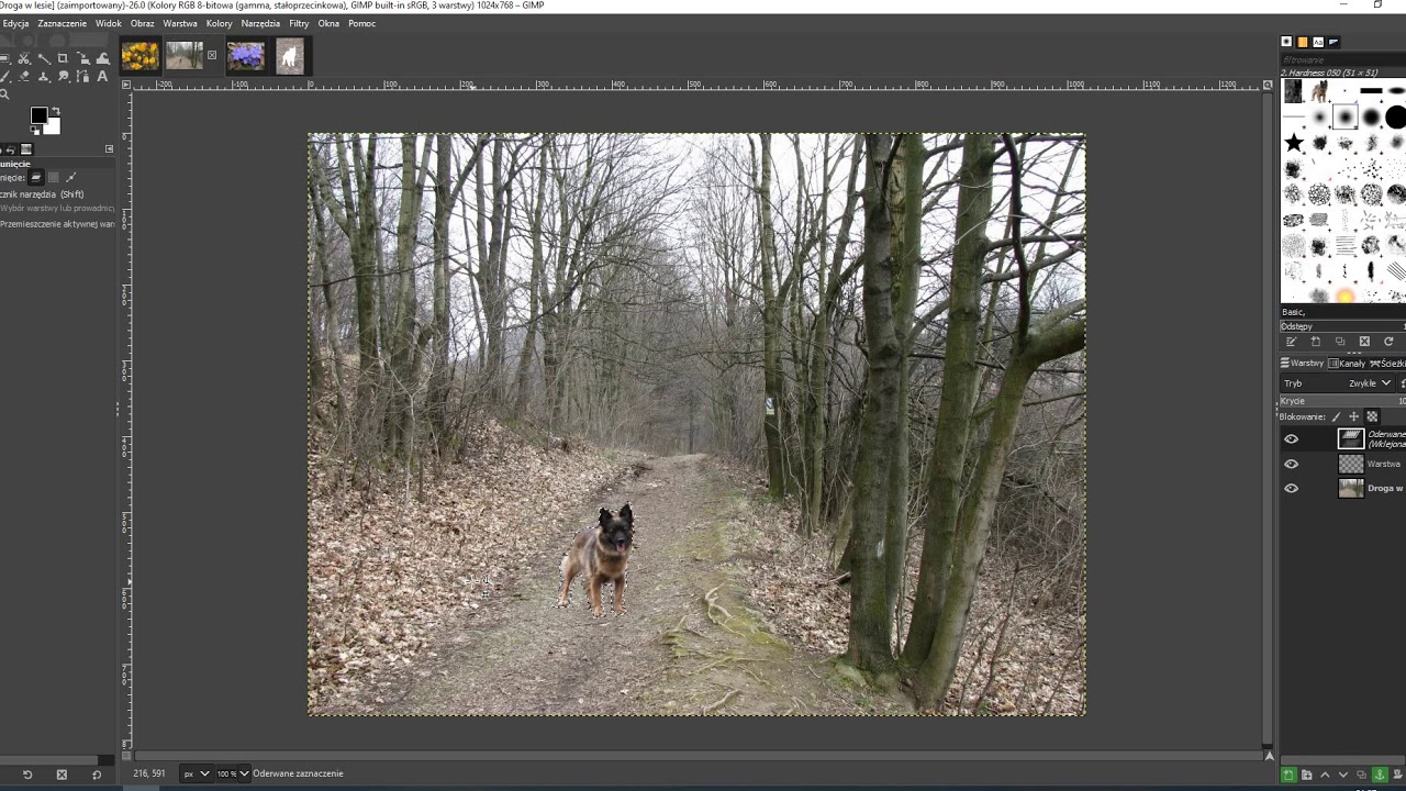 GIMP cw8 Tworzymy kompozycję, wykorzystując kopiowanie przez Schowek
