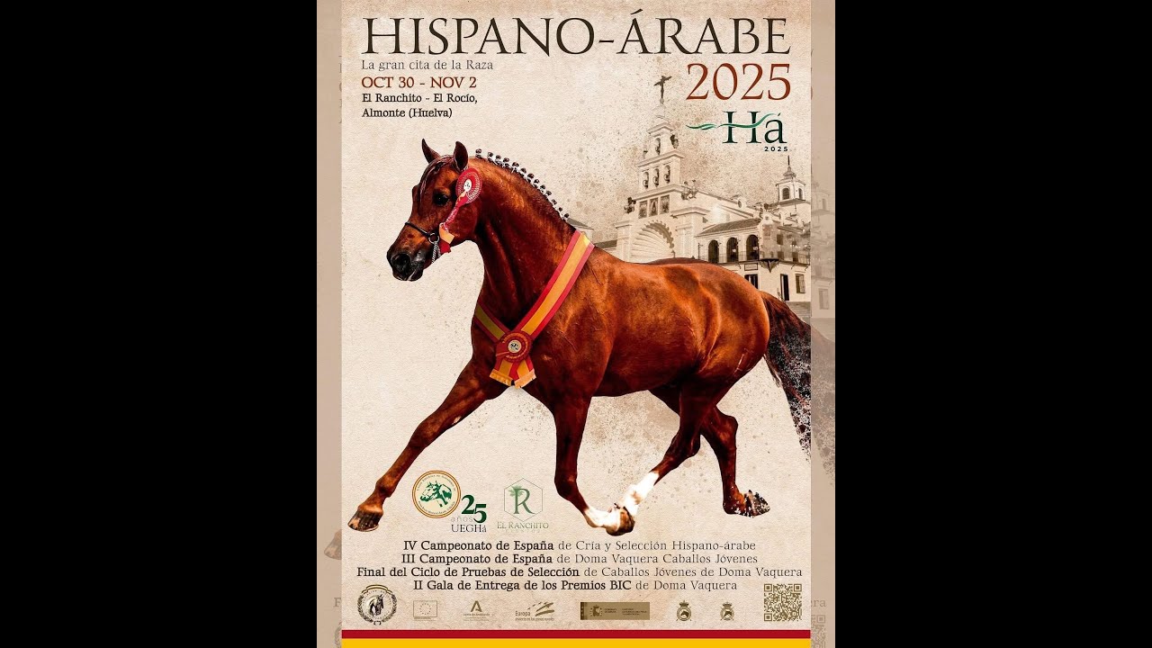 Jueves 30 Oct | Campeonato de España Hispano-Árabe 2025 🐎 El Ranchito Eventos - El Rocío (Huelva)