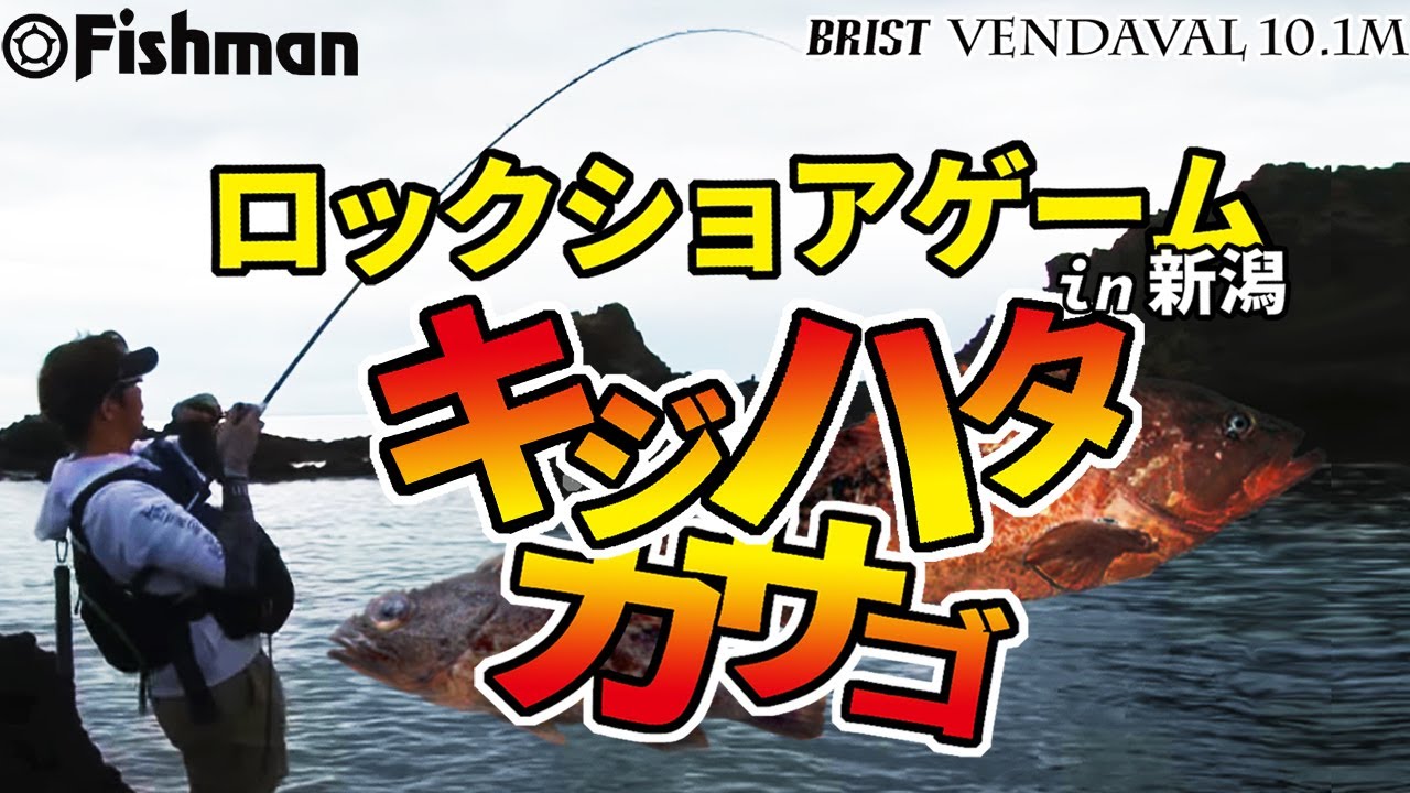 ショアロックゲームin新潟【キジハタ攻略】Fishman TV Light Game division vol.4