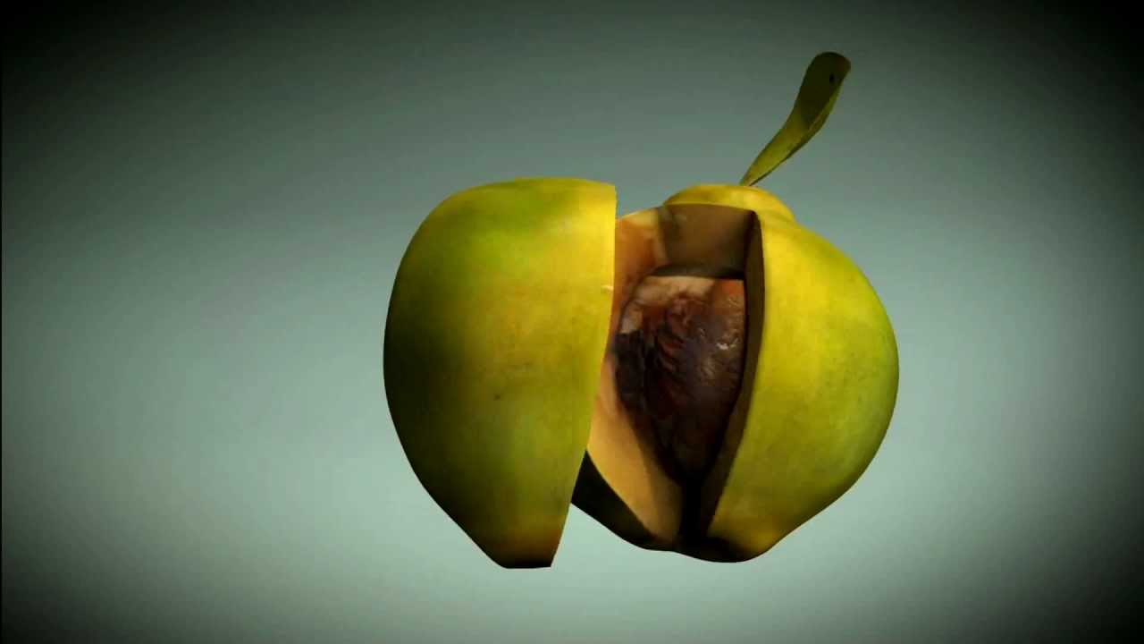 Cultivo de Membrillo