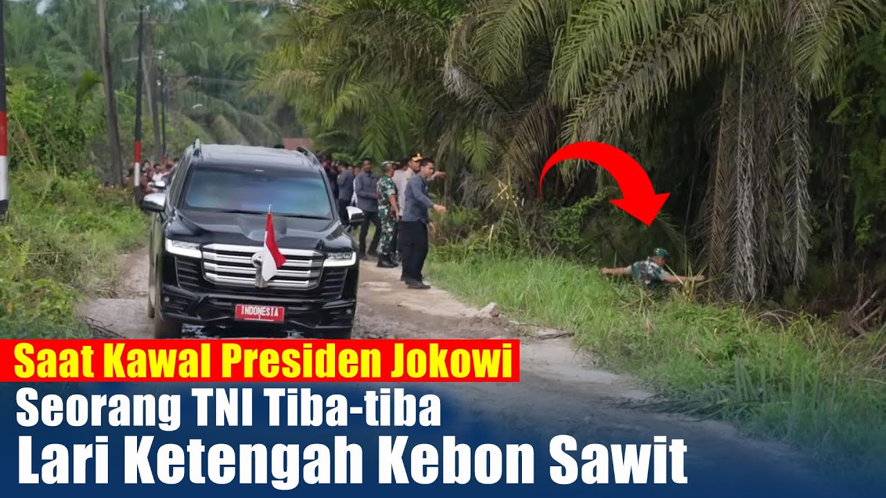 Sedang Kawal Presiden Jokowi, TNI Tiba tiba Lari Ketengah Kebon Sawit,