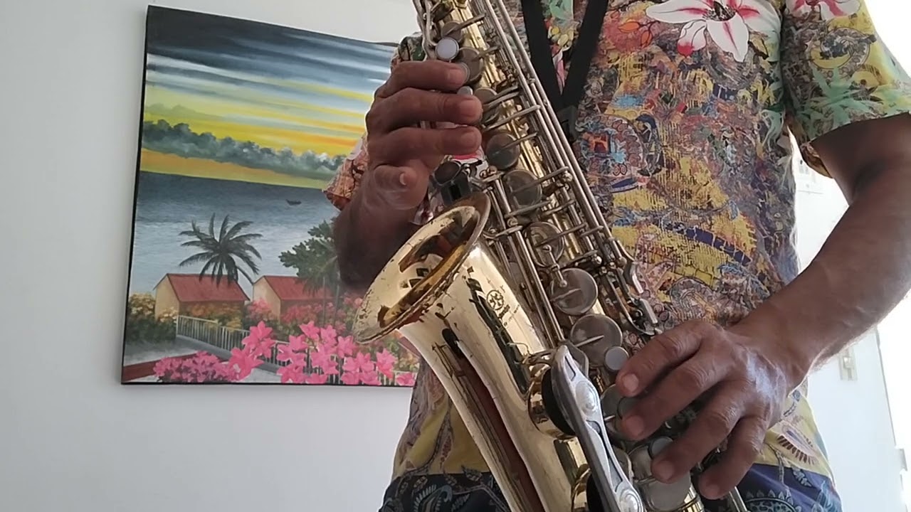 Tutorial Saxofon Alto   Golpe con Golpe(pastor López)