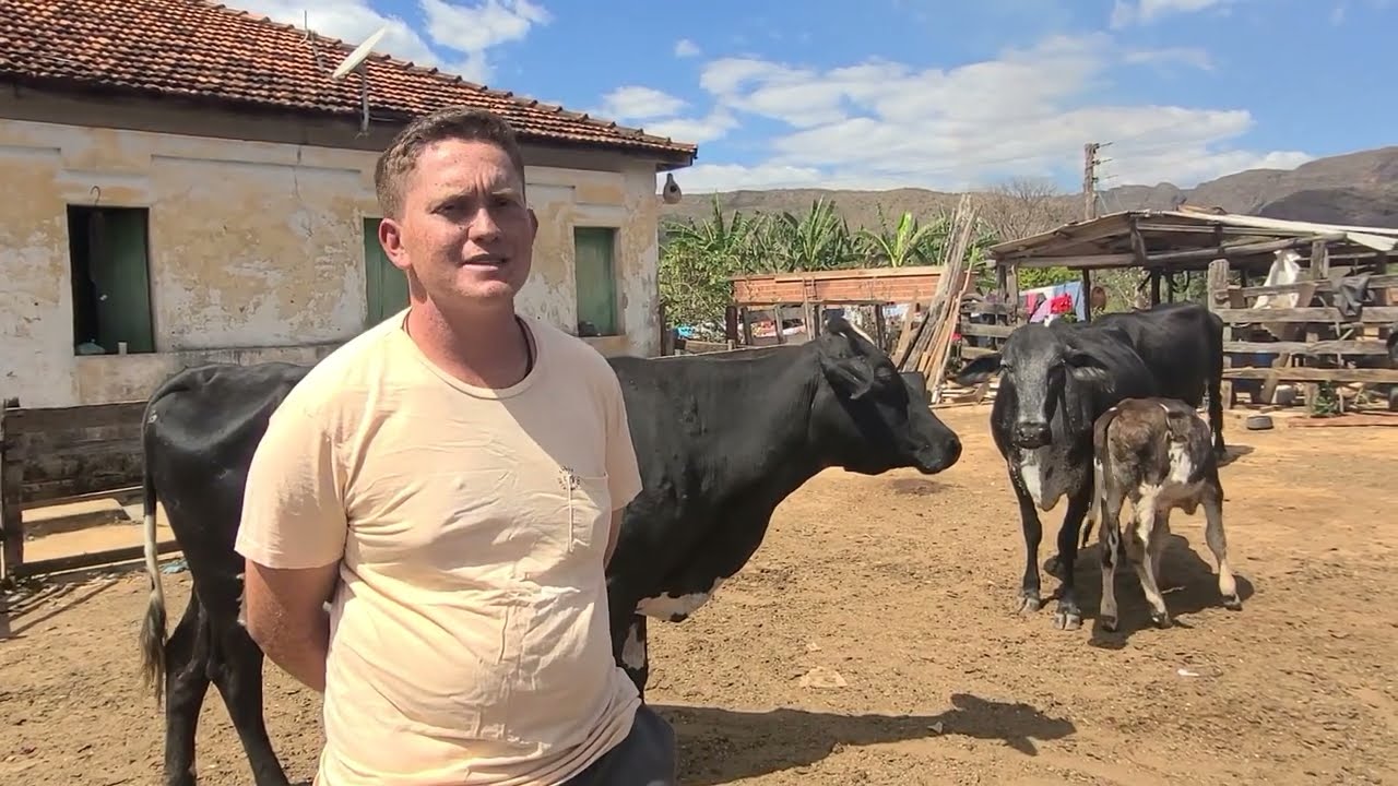 QUEIJARIA TIPICA QUEIJO CANASTRA - SERRA DA CANASTRA