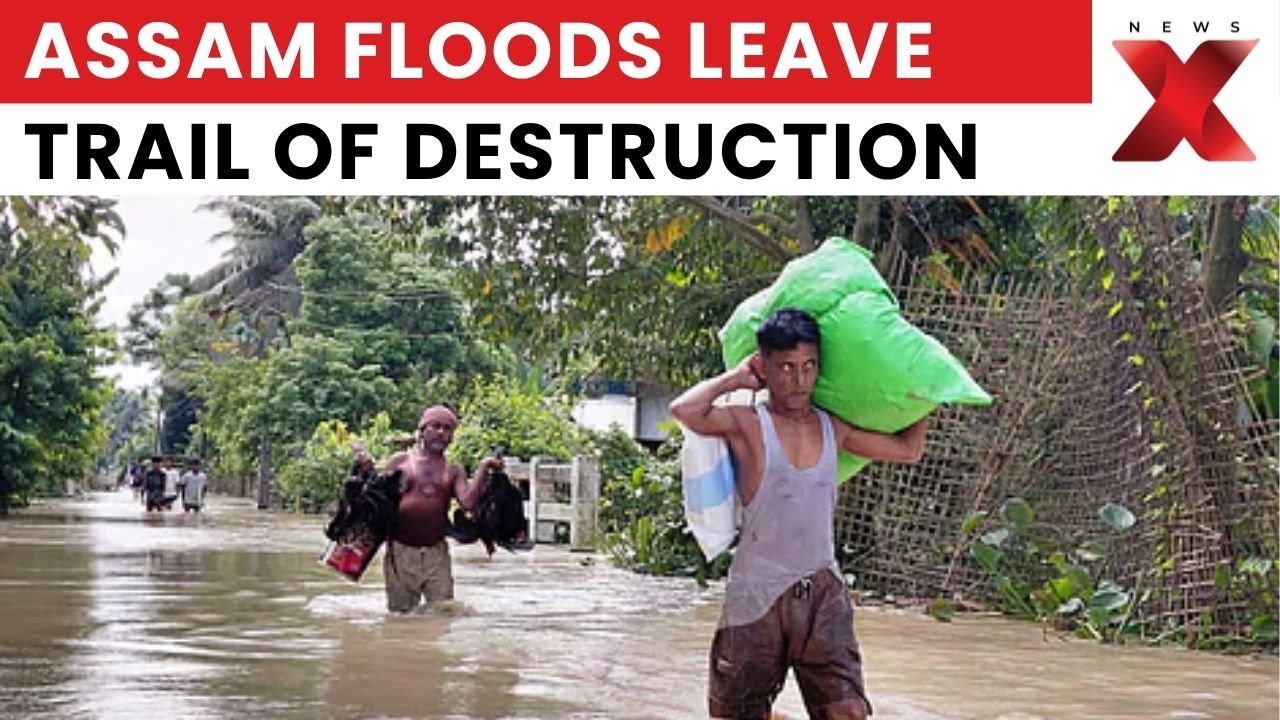 Assam Floods: Villages Remain Submerged, 1,500 Cattle Swept Away in Sivasagar | Latest News | NewsX
