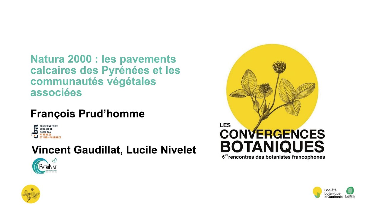 Convergences botaniques 2025 - 6. Pavements calcaires & communautés végétales (François Prudhomme)