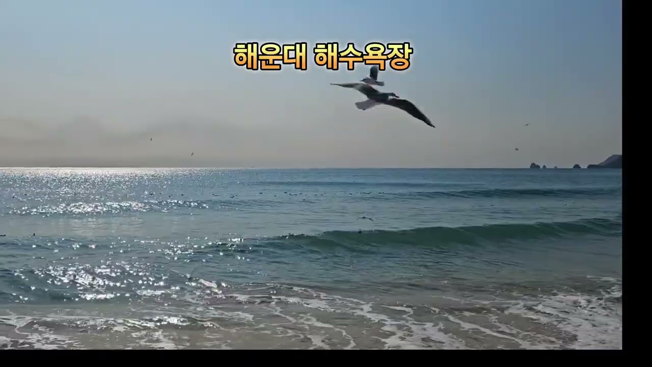 #해운대해수욕장 #동백섬 #누리마루 #광안리해수욕장 #송정해수욕장 #송도해수욕장 #해안산책로 