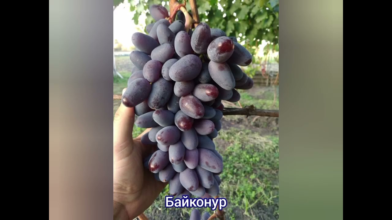 13 февраля 2026 г.