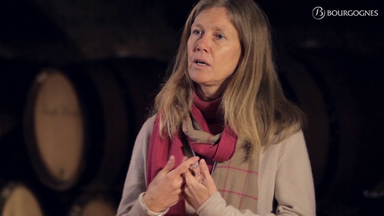 La Côte de Nuits vue par Véronique Drouhin
