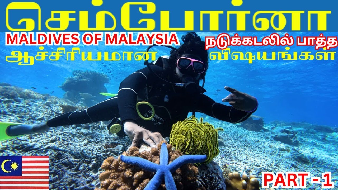 🇲🇾ஆழ்கடலில் பாத்த அதிசயம் SABAH Semporna Scuba dive | Malaysia Series | Borneo Ep - 13 | Vlogதமிழில்