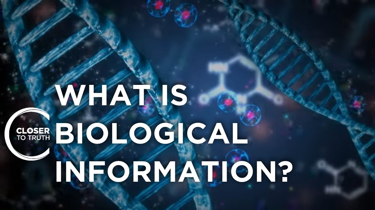What is Biological Information? | Closer To Truth