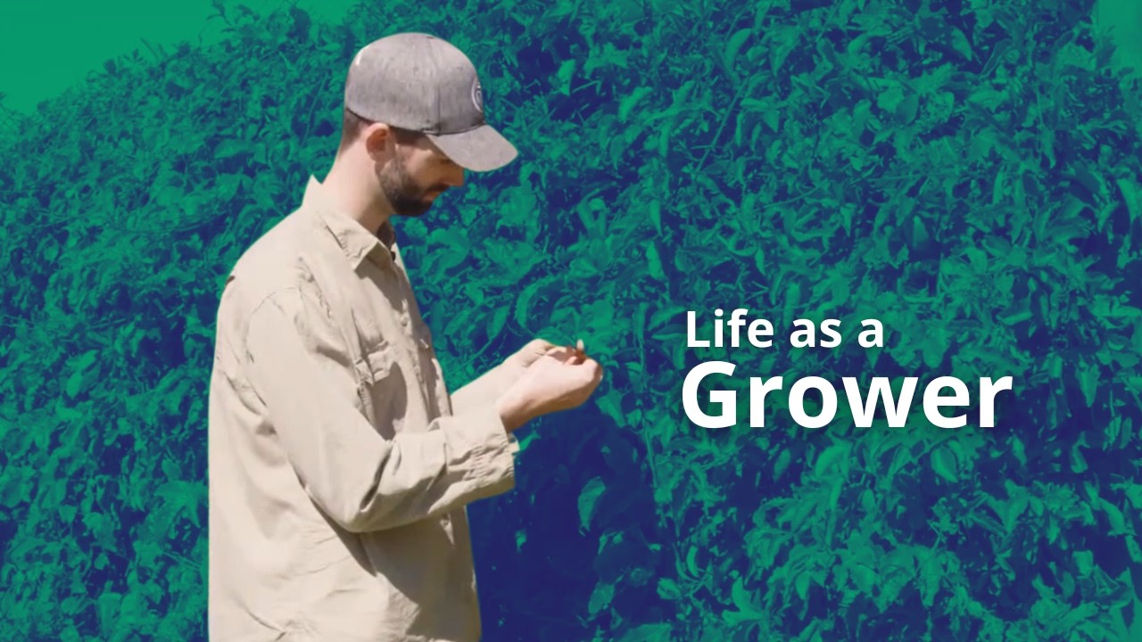 Occupation Spotlight: Grower | Career Stories