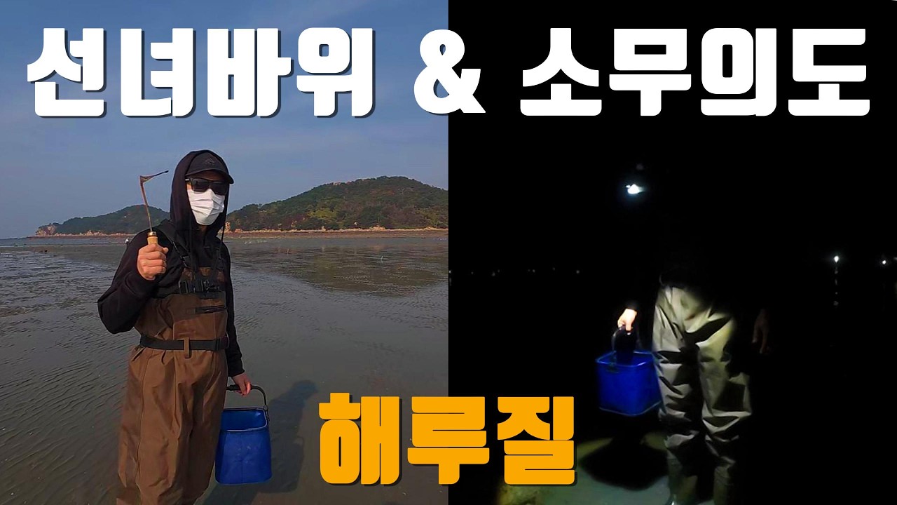 유명 해루질 포인트! 낮엔 꽃게, 밤엔 낙지를 노려보자!!