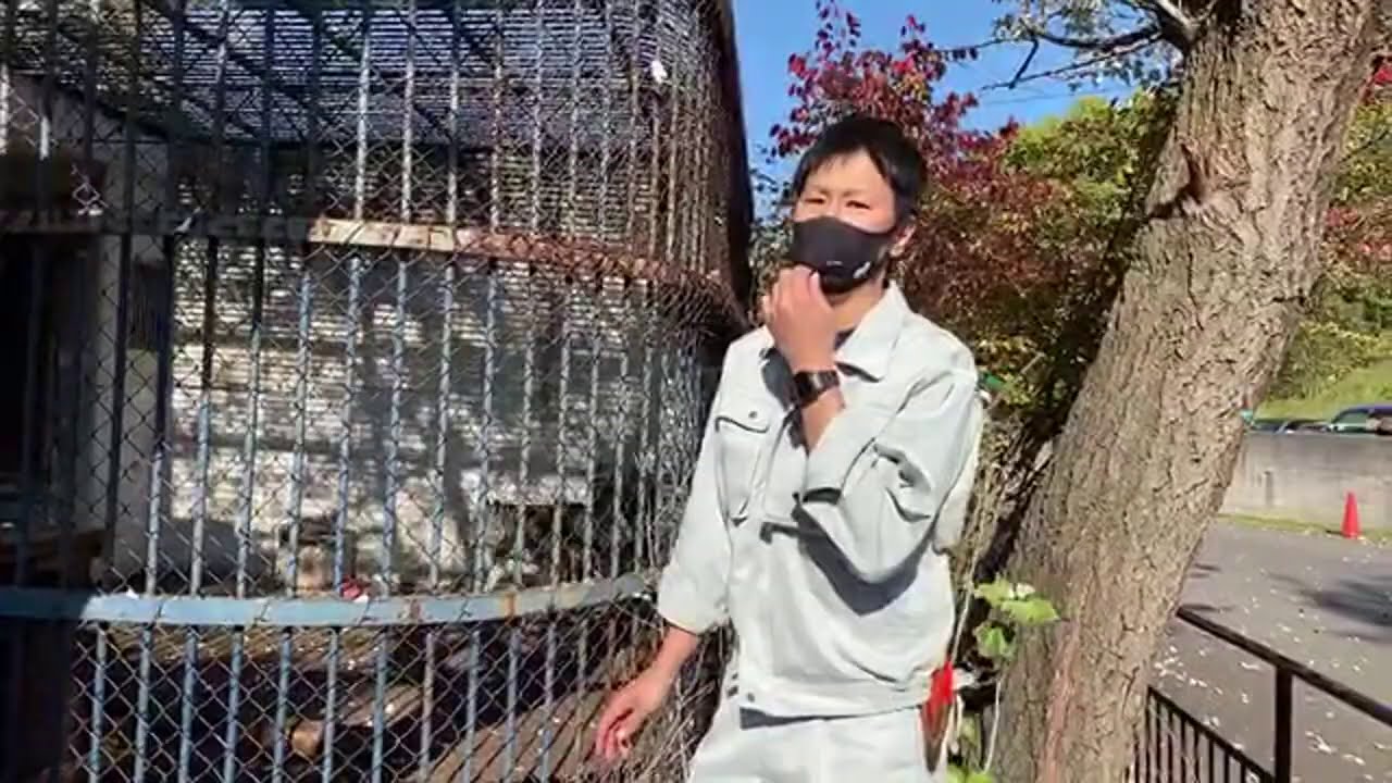 【旭川市旭山動物園】ワンポイントガイドオオカミ