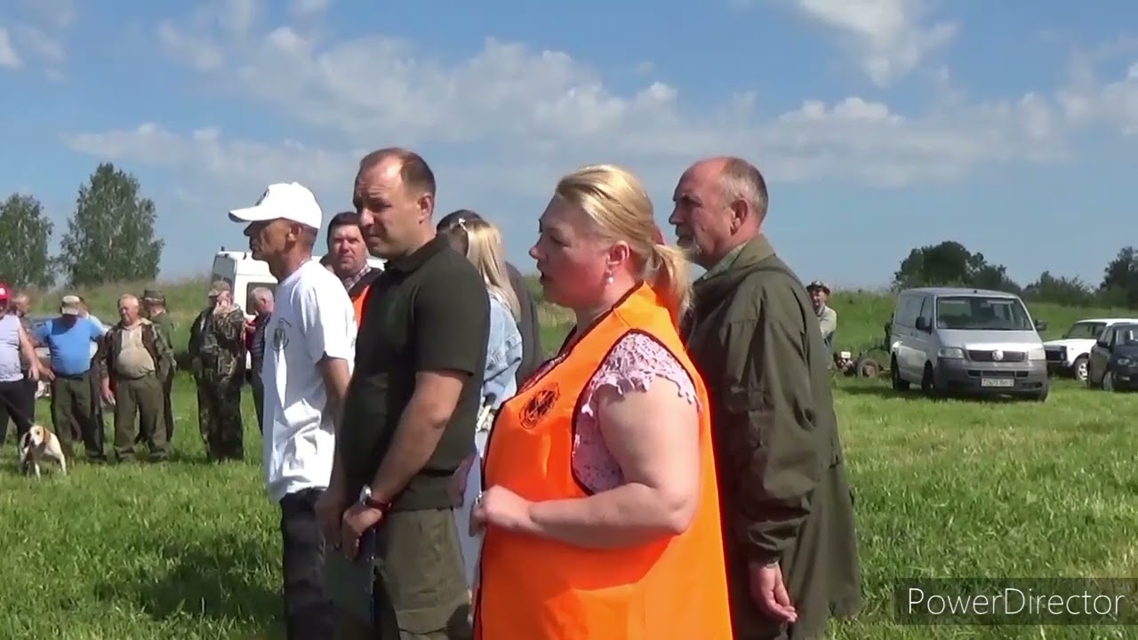 Витебская монопородная выставка гончих 25.05.2024. Англо-русские гончие.
