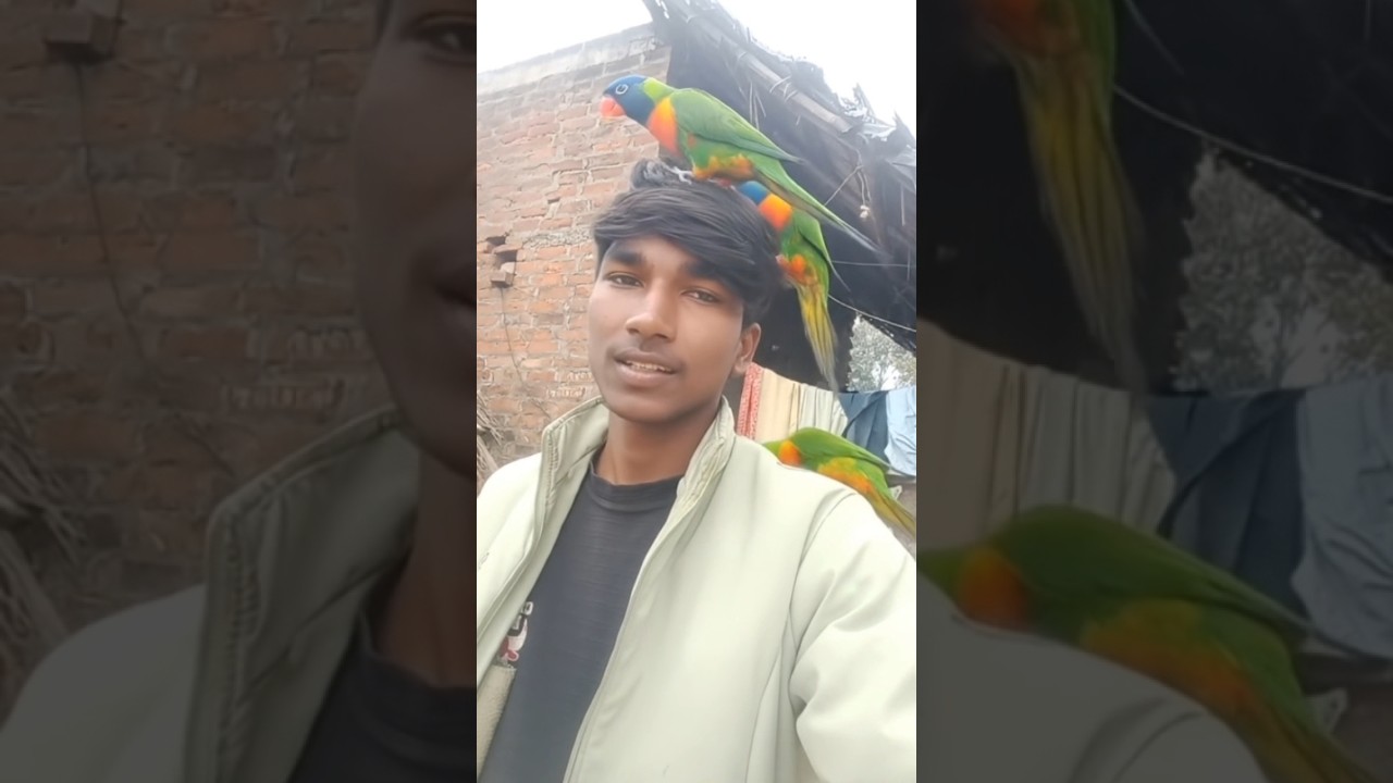 🙏subscribe my channel, 🥺