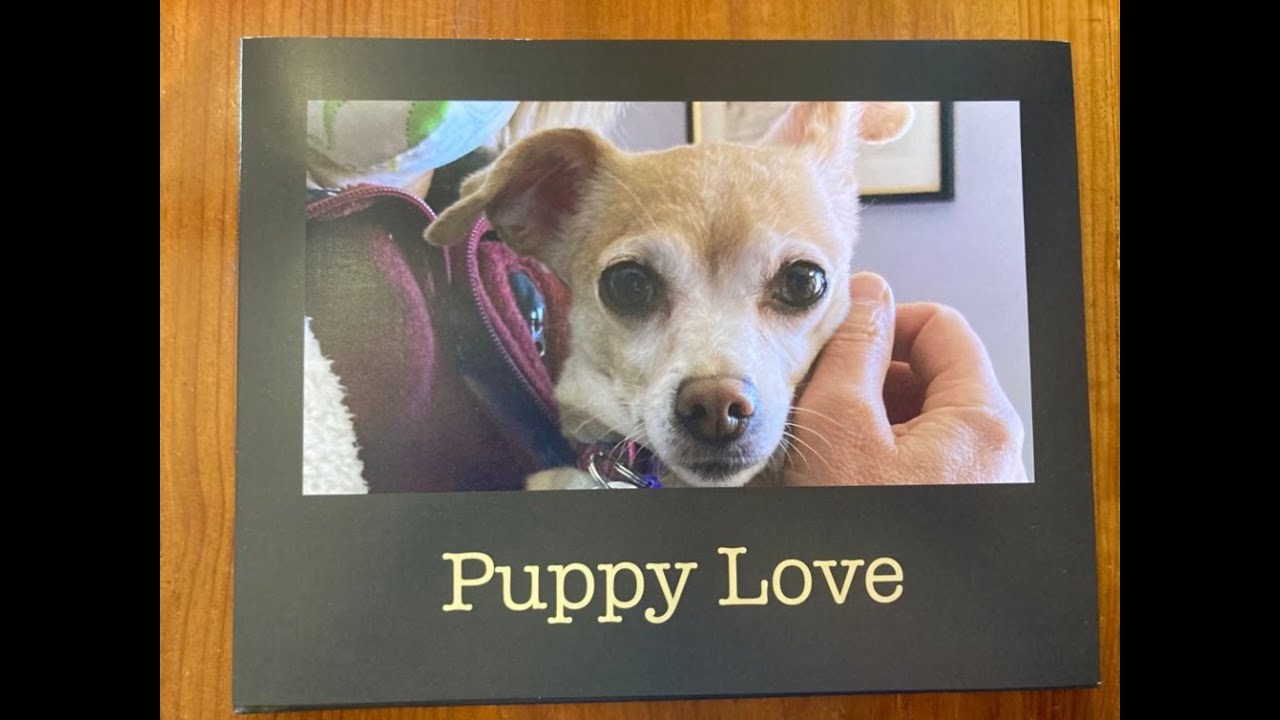 My Motif Photo Book has arrived! | Sophie's World