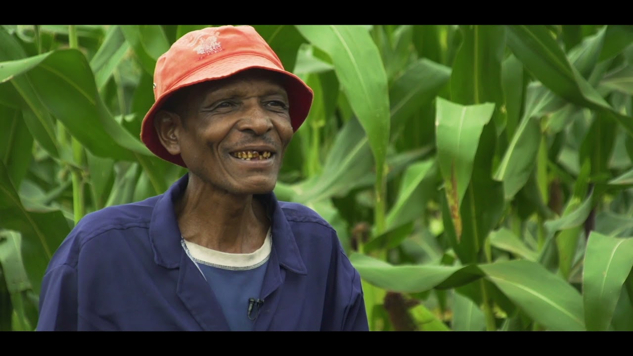 Mkulima wa zao la mahindi avutiwa na ongezeko la mavuno baada ya kutumia mbolea bora kutoka Yara.