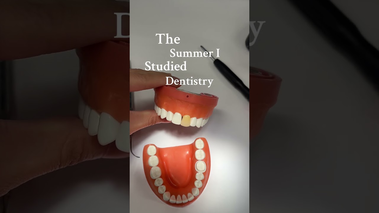 my summer #dentist #dentalschool #dentalstudent