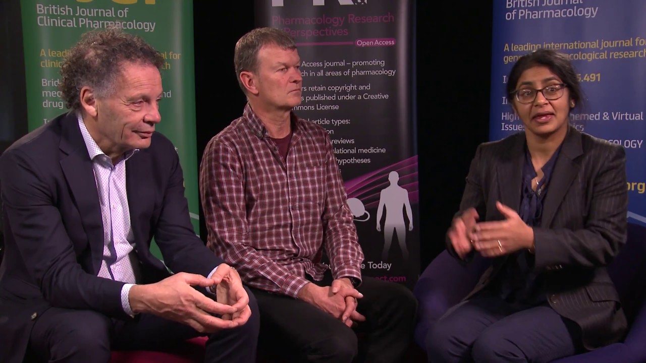 Journals editors in chief in conversation, 2017
