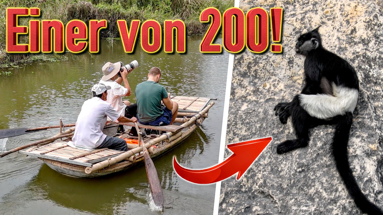 Wir entdecken BEDROHTE TIERE & die atemberaubende Natur Vietnams!! 🇻🇳