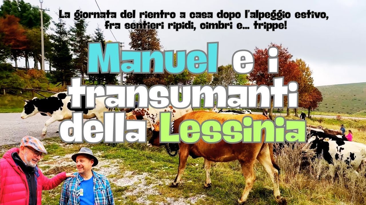 MANUEL E I TRANSUMANTI DELLA LESSINIA